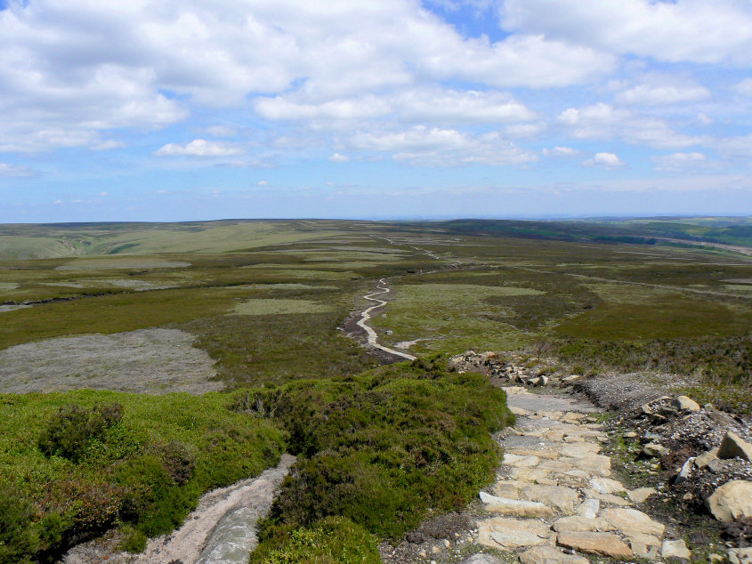 Cartledge Stones Ridge Cartledge Stones Ridge